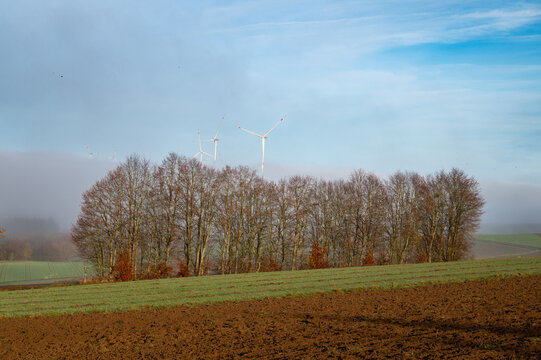Trees in autumn, wind turbine park in fog, windmills, efficiency renewable sustainable energy, electricity technology, environment conversation