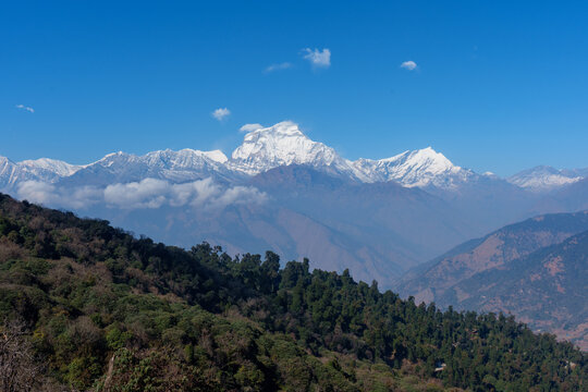 Dhaulagiri, an 8000-meter Himalayan peak seen from Ghorepani on the Poon Hill Trek in Nepal