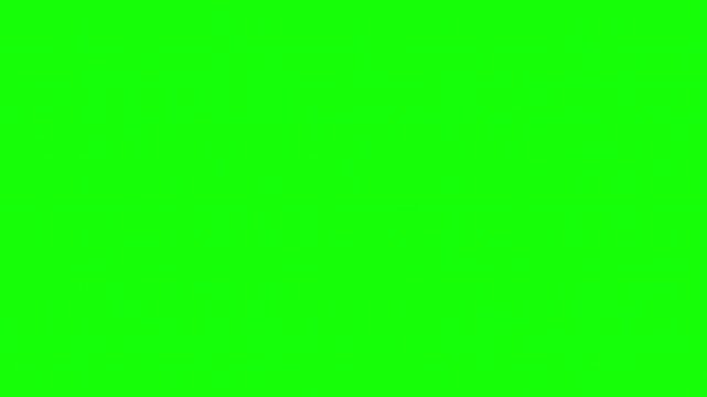 Vibrant Green Screen Backdrop Background Surface For Professional Video Editing