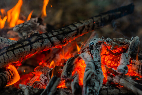 Charred logs and bright fire in a close up campfire shot. Detailed close-up of charred wood logs and bright orange flames burning in an outdoor campfire during a wilderness trip.