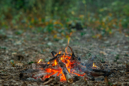 Small campfire burning on the ground in a wild forest. Small campfire safely burning on the forest floor surrounded by dry twigs and green moss, capturing a peaceful bushcraft moment.