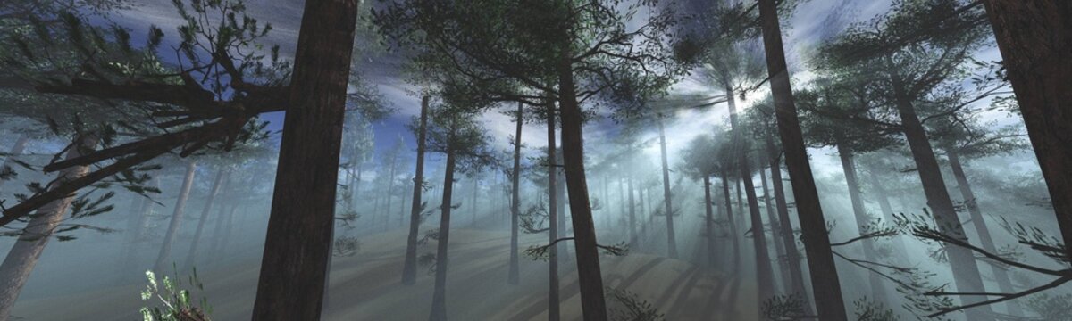 Forest in the morning in a fog in the sun, trees in a haze of light, glowing fog among the trees, 3D rendering