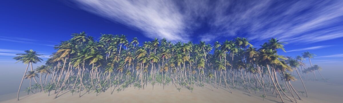 Sunset, palm trees in the sunlight, sunset over water, palm tree silhouettes, 3D rendering