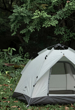Outdoor camping and adventure lifestyle, light gray tent pitched in a lush green forest for nature exploration