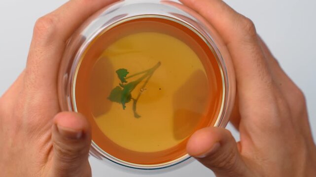 Hands holding double wall glass cup with herbal tea. Top view macro shot of yellow liquid with fresh green sprig inside on white backdrop.