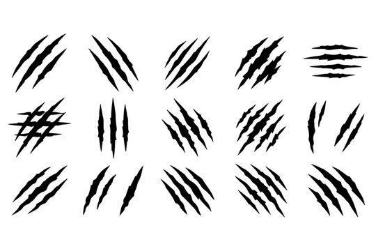 Set of black claw scratch marks, predator slash and animal rip vectors isolated on white background