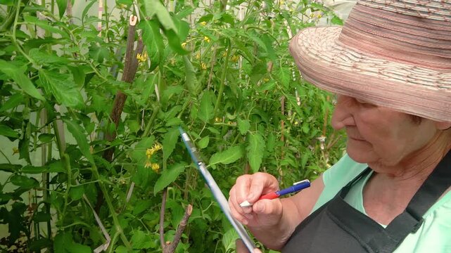 Elderly Female Farmer Observing Plants and Taking Notes