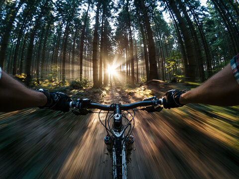 Point of View Mountain Biking Fast Down Forest Trail at Sunrise