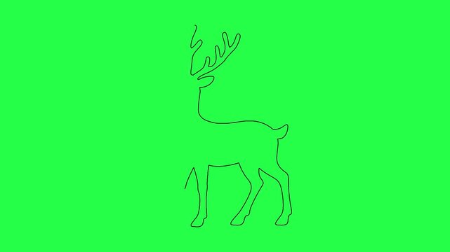 Minimalist single line deer drawing animating on a bright green screen background for video.