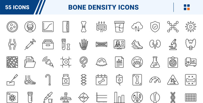 Bone metabolism testing line icon set. Vector pictograms of density, dexa, scan, and osteoporosis elements, thin linear illustration.