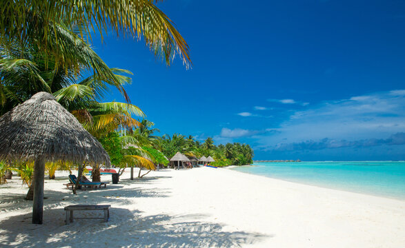 Tropical beach with turquoise ocean, palm leaves and blue sky