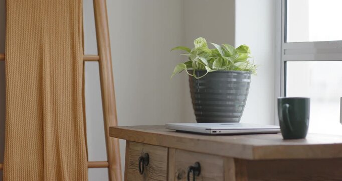 Camera is beginning to drift right and zoom out, revealing potted plant over laptop, cozy corner