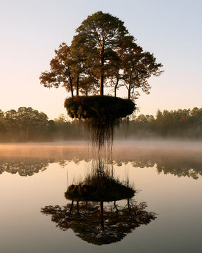 Floating Island With Autumn Tree Grove And Pine Forest
