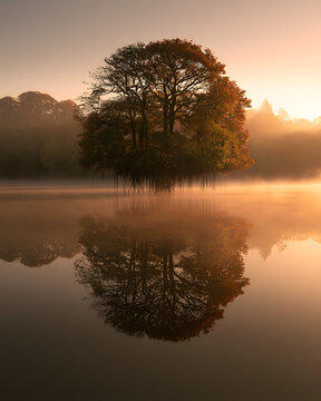 Floating Island With Red Autumn Oak Tree
