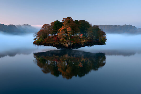 Floating Island With Two Gnarled Autumn Trees In Fog