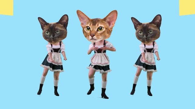 Multiplied cat headed dancer perform synchronized moves on changing colorful backgrounds. Concept of funny animals, party entertainment, pop culture and social media content.