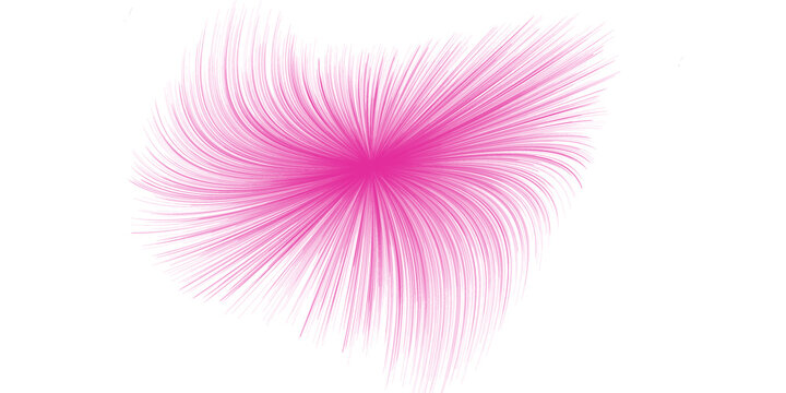 Beauty and modern flower vector background pink and purple 2019