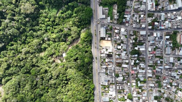 High angle aerial footage of a vertical road dividing a populated Brazilian neighborhood from a dense tropical rainforest.