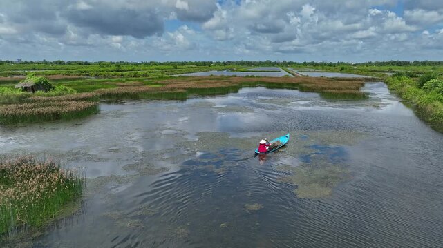 Aerial view of a peaceful waterway winding through flooded wetlands and rural farmland in An Giang, Mekong Delta, during the seasonal monsoon.
