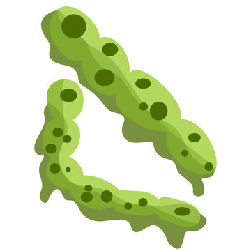 vector illustration of a virus