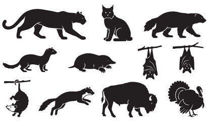 Obraz premium Collection of black silhouettes of wild predators, mammals, and birds including cougar, bobcat, wolverine, mole, bat, opossum, bison, and wild turkey isolated on white.