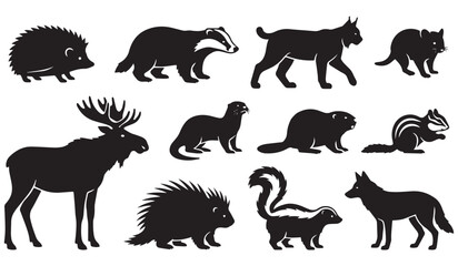Obraz premium Vector set of black silhouettes of woodland animals and small mammals featuring hedgehog, badger, lynx, otter, beaver, chipmunk, porcupine, skunk, and elk on white background.