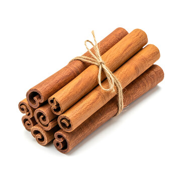 A small bundle of aromatic cinnamon sticks tied together with a simple brown string