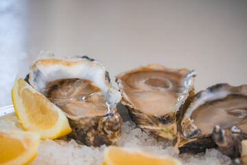 Three opened raw oysters sit chilled on crushed ice alongside sliced fresh lemon wedges ready to eat in a restaurant setting. © Aerial Film Studio