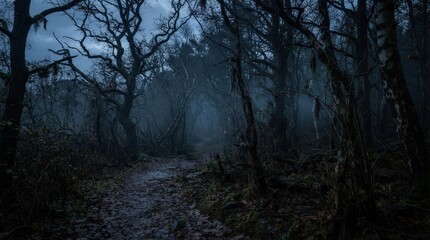 Fototapeta premium Dark winding forest path illuminated by distant lanterns, mysterious Halloween woodland and eerie night adventure background.