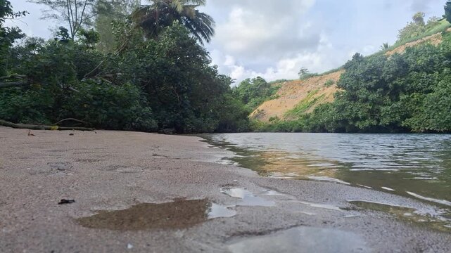 river in the forest