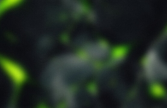 Fluorescent green glowing bacteria under microscope
