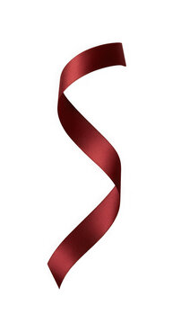 Curled satin ribbon in deep burgundy