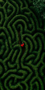 From above view of a maze