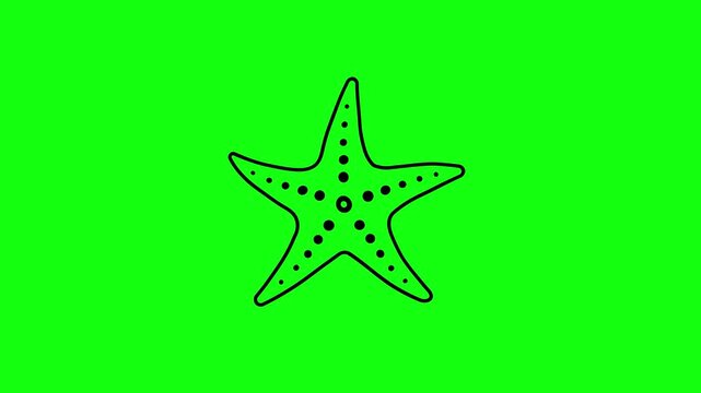 Starfish animation with a simple outline, five-armed starfish, green background, motion graphics, 4K video.