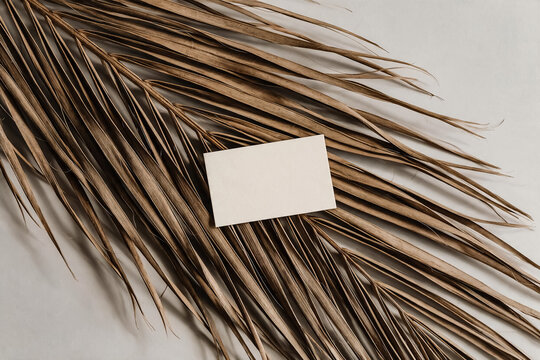 Minimalist business card mockup on dried palm leaf, blank stationery card for branding, organic aesthetic paper mockup