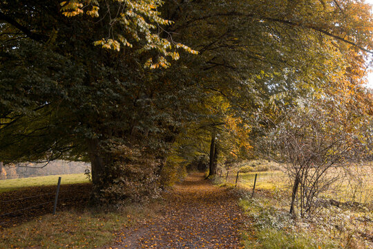 Verwunschener Wanderweg im Herbst