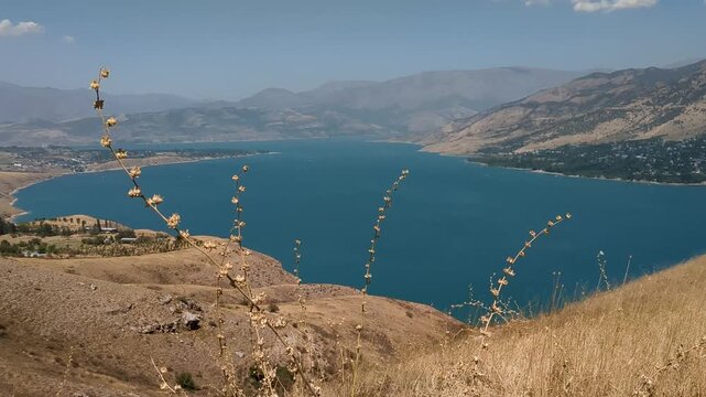 Dry grass sways in the wind on a hillside overlooking Charvak Reservoir, with arid mountains and settlements along the shoreline in Uzbekistan.