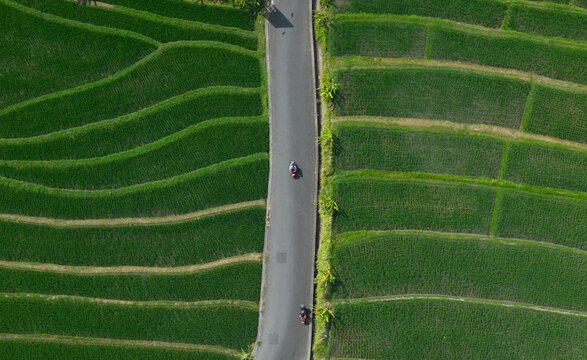 Aerial view of lush green rice terraces divided by a narrow asphalt road with two motorbikes driving through the landscape in Kuta Selatan, Bali, Indonesia.