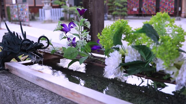 Flower Chozuya at Shrine | Clear Water and Blossoms