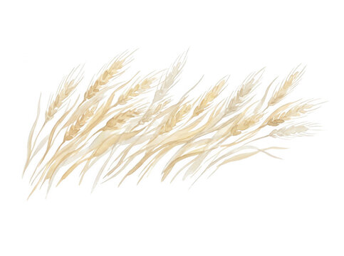 Eine k&uuml;nstlerische Aquarellillustration von goldenen Weizen&auml;hren, die sanft im Wind wehen, isoliert auf einem sauberen wei&szlig;en Hintergrund f&uuml;r ein nat&uuml;rliches und elegantes Design.