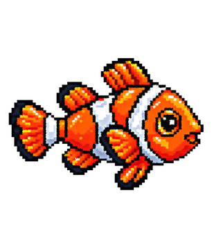 Clown fish