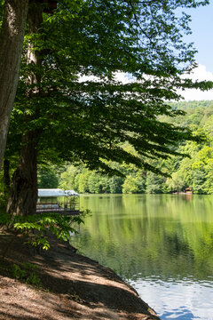 The shore of Lake Parz in Dilijan National Park, Armenia