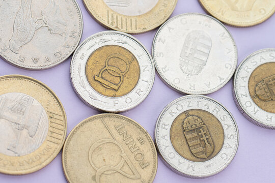 Assorted Hungarian forint coins arranged on pastel background.