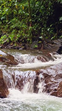 Vertical video. Fast Flowing Mountain Stream Rushing Over Large Rocks Through Tropical Rainforest Near Fiji Waterfall Lemukih, Wild Nature and Adventure Destination