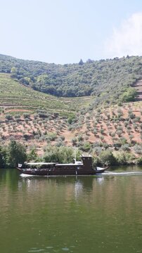 Traditional rabelo boat sailing on the douro river