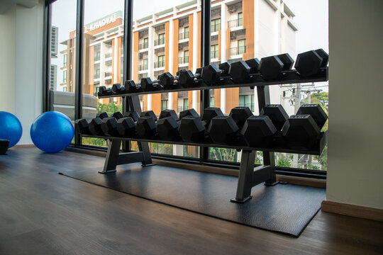 Black dumbbells on two tier storage rack in modern fitness gym