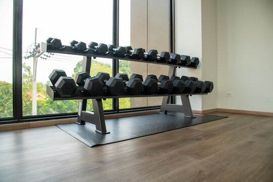 Black dumbbells on two tier storage rack in modern fitness gym