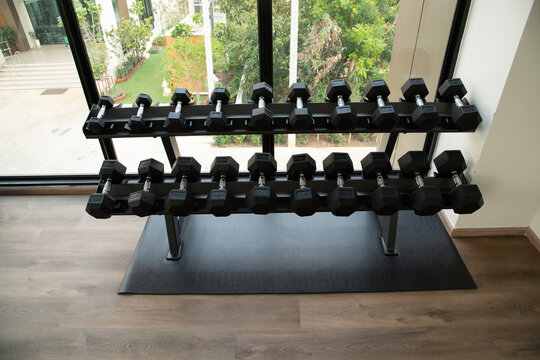 Black dumbbells on two tier storage rack in modern fitness gym