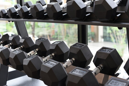 Black dumbbells on two tier storage rack in modern fitness gym