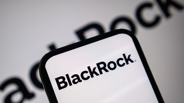 BlackRock company logo visible on modern smartphone display in close up.